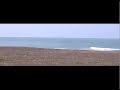 Mare