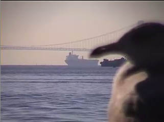 Verrazano